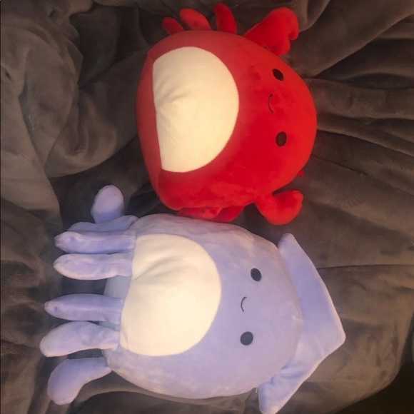 squishmallow squid